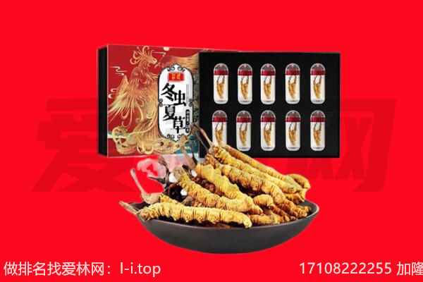 红河州河口回收虫草.jpg